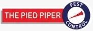 The Pied Piper logo